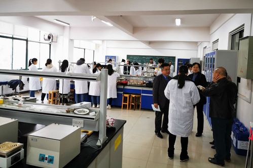 我院食品科學(xué)與工程本科專(zhuān)業(yè)接受校內(nèi)專(zhuān)業(yè)評(píng)估