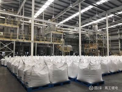 走進天齊張家港生產基地 波創電氣實地評估智能制造新風貌